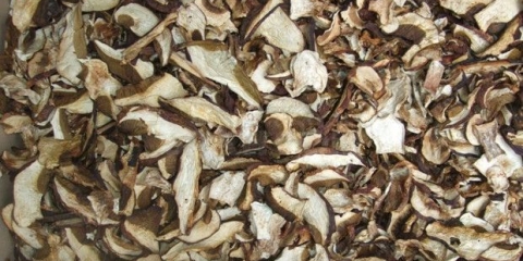 Da li je moguće sušiti bukovače i kako se kuvati